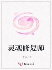 灵魂修补师小说